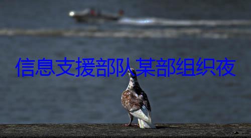 队某部组织夜间修理训信息支援部练图